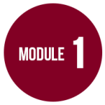 module1dd