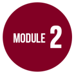 module2dd