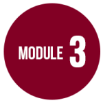 module3dd