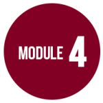 module4dd